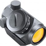 bushnell01.jpg